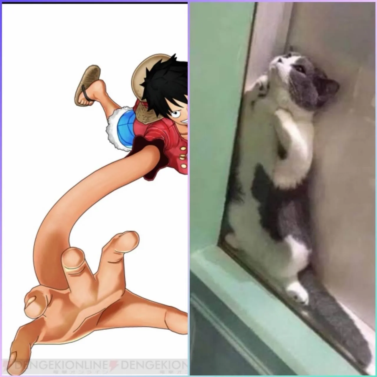 【猫の身体になりたい】